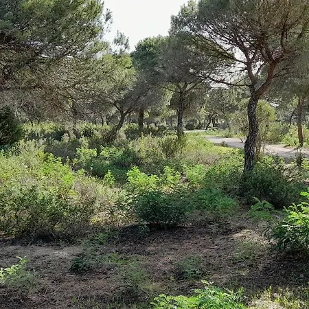 Verdeplaya Villa Matalascañas
